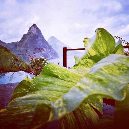Moringa Villa Studio 1 Soufrière Dış mekan fotoğraf